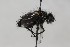  ( - CollHH1700)  @11 [ ] Creative Commons  Attribution Non-Commercial Share-Alike (2018) Hakon Haraldseide Unspecified
