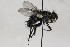  ( - CollHH1706)  @11 [ ] Creative Commons  Attribution Non-Commercial Share-Alike (2018) Hakon Haraldseide Unspecified