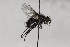  ( - CollHH1707)  @11 [ ] Creative Commons  Attribution Non-Commercial Share-Alike (2018) Hakon Haraldseide Unspecified