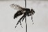  ( - CollHH1708)  @11 [ ] Creative Commons  Attribution Non-Commercial Share-Alike (2018) Hakon Haraldseide Unspecified
