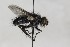  ( - CollHH1709)  @13 [ ] Creative Commons  Attribution Non-Commercial Share-Alike (2018) Hakon Haraldseide Unspecified