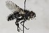  ( - CollHH1710)  @13 [ ] Creative Commons  Attribution Non-Commercial Share-Alike (2018) Hakon Haraldseide Unspecified