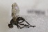  ( - CollHH1717)  @11 [ ] Creative Commons  Attribution Non-Commercial Share-Alike (2018) Hakon Haraldseide Unspecified