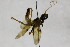 ( - CollHH1731)  @12 [ ] Creative Commons  Attribution Non-Commercial Share-Alike (2018) Hakon Haraldseide Unspecified