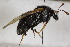 ( - CollHH1742)  @11 [ ] Creative Commons  Attribution Non-Commercial Share-Alike (2018) Hakon Haraldseide Unspecified