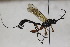  ( - CollHH1752)  @11 [ ] Creative Commons  Attribution Non-Commercial Share-Alike (2018) Hakon Haraldseide Unspecified