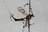  ( - CollHH1755)  @12 [ ] Creative Commons  Attribution Non-Commercial Share-Alike (2018) Hakon Haraldseide Unspecified