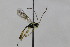  ( - CollHH1761)  @12 [ ] Creative Commons  Attribution Non-Commercial Share-Alike (2018) Hakon Haraldseide Unspecified