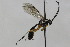  ( - CollHH1764)  @13 [ ] Creative Commons  Attribution Non-Commercial Share-Alike (2018) Hakon Haraldseide Unspecified