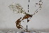  ( - CollHH1776)  @11 [ ] Creative Commons  Attribution Non-Commercial Share-Alike (2018) Hakon Haraldseide Unspecified