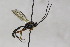  ( - CollHH1790)  @12 [ ] Creative Commons  Attribution Non-Commercial Share-Alike (2018) Hakon Haraldseide Unspecified