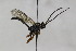  ( - CollHH1791)  @12 [ ] Creative Commons  Attribution Non-Commercial Share-Alike (2018) Hakon Haraldseide Unspecified
