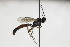  ( - CollHH1808)  @11 [ ] Creative Commons  Attribution Non-Commercial Share-Alike (2018) Hakon Haraldseide Unspecified