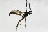  ( - CollHH1809)  @13 [ ] Creative Commons  Attribution Non-Commercial Share-Alike (2018) Hakon Haraldseide Unspecified