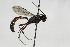  ( - CollHH1810)  @13 [ ] Creative Commons  Attribution Non-Commercial Share-Alike (2018) Hakon Haraldseide Unspecified
