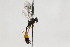  ( - CollHH1851)  @13 [ ] Creative Commons  Attribution Non-Commercial Share-Alike (2018) Hakon Haraldseide Unspecified
