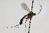  ( - CollHH1877)  @11 [ ] Creative Commons  Attribution Non-Commercial Share-Alike (2018) Hakon Haraldseide Unspecified