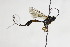  ( - CollHH1893)  @13 [ ] Creative Commons  Attribution Non-Commercial Share-Alike (2018) Hakon Haraldseide Unspecified