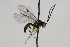  ( - CollHH1907)  @13 [ ] Creative Commons  Attribution Non-Commercial Share-Alike (2018) Hakon Haraldseide Unspecified