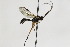  ( - CollHH1914)  @14 [ ] Creative Commons  Attribution Non-Commercial Share-Alike (2018) Hakon Haraldseide Unspecified