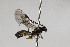  ( - CollHH1926)  @14 [ ] Creative Commons  Attribution Non-Commercial Share-Alike (2018) Hakon Haraldseide Unspecified