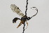  ( - CollHH1936)  @13 [ ] Creative Commons  Attribution Non-Commercial Share-Alike (2018) Hakon Haraldseide Unspecified