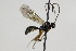  ( - CollHH1937)  @13 [ ] Creative Commons  Attribution Non-Commercial Share-Alike (2018) Hakon Haraldseide Unspecified