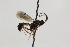  ( - CollHH1956)  @13 [ ] Creative Commons  Attribution Non-Commercial Share-Alike (2018) Hakon Haraldseide Unspecified