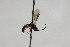  ( - CollHH2023)  @12 [ ] Creative Commons  Attribution Non-Commercial Share-Alike (2018) Hakon Haraldseide Unspecified