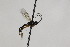  ( - CollHH2034)  @12 [ ] Creative Commons  Attribution Non-Commercial Share-Alike (2018) Hakon Haraldseide Unspecified