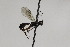  ( - CollHH2037)  @12 [ ] Creative Commons  Attribution Non-Commercial Share-Alike (2018) Hakon Haraldseide Unspecified