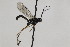  ( - CollHH2038)  @12 [ ] Creative Commons  Attribution Non-Commercial Share-Alike (2018) Hakon Haraldseide Unspecified