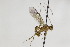  ( - CollHH2079)  @13 [ ] Creative Commons  Attribution Non-Commercial Share-Alike (2018) Hakon Haraldseide Unspecified