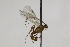  ( - CollHH2081)  @12 [ ] Creative Commons  Attribution Non-Commercial Share-Alike (2018) Hakon Haraldseide Unspecified