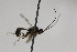  ( - CollHH2084)  @12 [ ] Creative Commons  Attribution Non-Commercial Share-Alike (2018) Hakon Haraldseide Unspecified