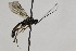  ( - CollHH2085)  @12 [ ] Creative Commons  Attribution Non-Commercial Share-Alike (2018) Hakon Haraldseide Unspecified