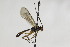  ( - CollHH2087)  @13 [ ] Creative Commons  Attribution Non-Commercial Share-Alike (2018) Hakon Haraldseide Unspecified
