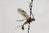  ( - CollHH2088)  @12 [ ] Creative Commons  Attribution Non-Commercial Share-Alike (2018) Hakon Haraldseide Unspecified