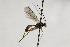  ( - CollHH2090)  @13 [ ] Creative Commons  Attribution Non-Commercial Share-Alike (2018) Hakon Haraldseide Unspecified