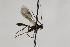  ( - CollHH2091)  @12 [ ] Creative Commons  Attribution Non-Commercial Share-Alike (2018) Hakon Haraldseide Unspecified