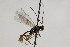  ( - CollHH2092)  @13 [ ] Creative Commons  Attribution Non-Commercial Share-Alike (2018) Hakon Haraldseide Unspecified