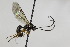  ( - CollHH2141)  @13 [ ] Creative Commons  Attribution Non-Commercial Share-Alike (2018) Hakon Haraldseide Unspecified