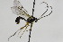  ( - CollHH2142)  @13 [ ] Creative Commons  Attribution Non-Commercial Share-Alike (2018) Hakon Haraldseide Unspecified