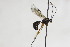  ( - CollHH2144)  @11 [ ] Creative Commons  Attribution Non-Commercial Share-Alike (2018) Hakon Haraldseide Unspecified