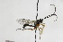  ( - CollHH2147)  @14 [ ] Creative Commons  Attribution Non-Commercial Share-Alike (2018) Hakon Haraldseide Unspecified