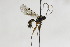  ( - CollHH2151)  @13 [ ] Creative Commons  Attribution Non-Commercial Share-Alike (2018) Hakon Haraldseide Unspecified