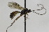  ( - CollHH2159)  @12 [ ] Creative Commons  Attribution Non-Commercial Share-Alike (2018) Hakon Haraldseide Unspecified
