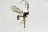  ( - CollHH2160)  @12 [ ] Creative Commons  Attribution Non-Commercial Share-Alike (2018) Hakon Haraldseide Unspecified