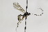  ( - CollHH2161)  @13 [ ] Creative Commons  Attribution Non-Commercial Share-Alike (2018) Hakon Haraldseide Unspecified