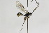  ( - CollHH2162)  @12 [ ] Creative Commons  Attribution Non-Commercial Share-Alike (2018) Hakon Haraldseide Unspecified